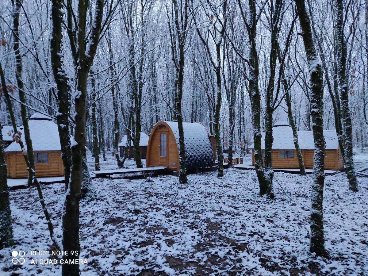 Le Domaine Insolite De Broceliande Villa Paimpont Eksteriør bilde