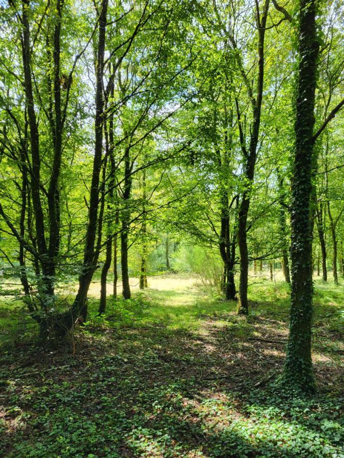 Le Domaine Insolite De Broceliande Villa Paimpont Eksteriør bilde