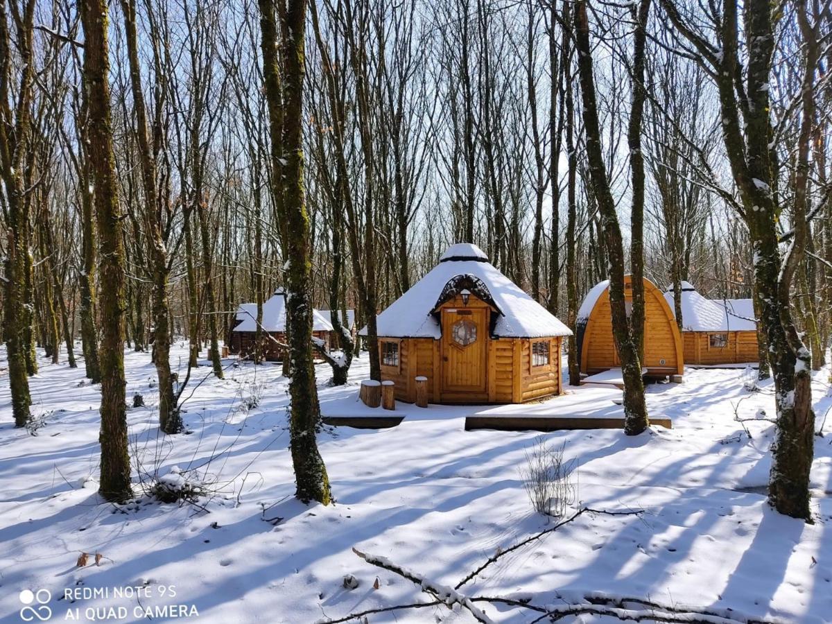 Le Domaine Insolite De Broceliande Villa Paimpont Eksteriør bilde