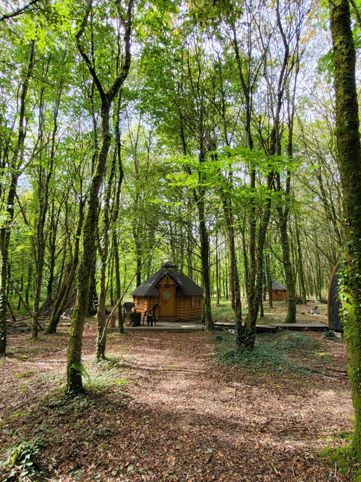 Le Domaine Insolite De Broceliande Villa Paimpont Eksteriør bilde